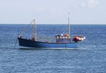 Calls for CO detectors on marine vessels