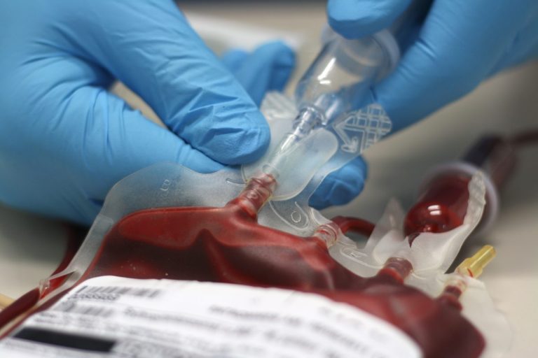 Diana Agacy, Blood Transfusion Nurse Practitioner and Phlebotomy Manager at University Hospital Southampton NHS Foundation gives an overview of the importance of patient safety during blood transfusions…