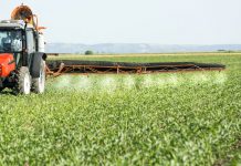 Ban on pesticide could cost farmers £1.6bn