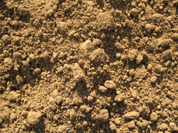 global soil