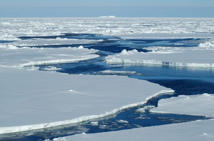 sea ice