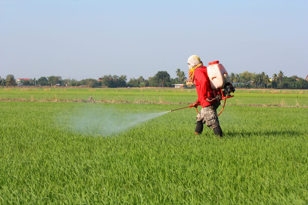 Пестициды и химические удобрения. Удобрение полей. Пестициды на полях. Обработка полей. Химикаты в сельском хозяйстве.