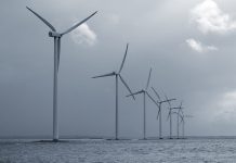 Scottish wind farm fails to secure government deal