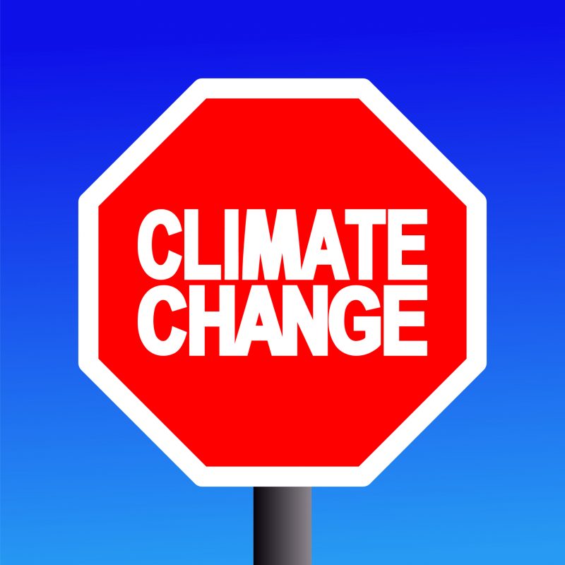 Change sign. Stop climate change. Стоп измени слово. Стоп не меняй фото.
