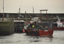 The United Nations University Fisheries Training Programme fisheries