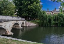 Only 17 per cent of England's rivers are in good health