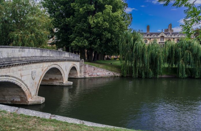 Only 17 per cent of England's rivers are in good health