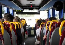 Green MEP calls for free public transport