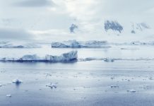 The Arctic: A global climate “canary in a coal mine” arctic