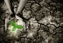 Let us take stock of our situation regarding Earth’s climate cimate