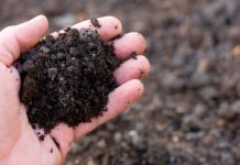 soil management