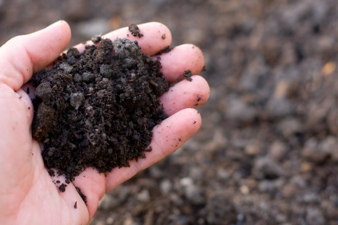 soil management