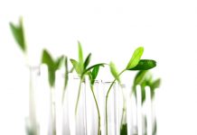 Industrial biotechnology workshops start academia–industry collaborations biology
