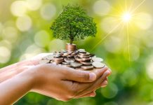 How much does it cost to save the world? climate change