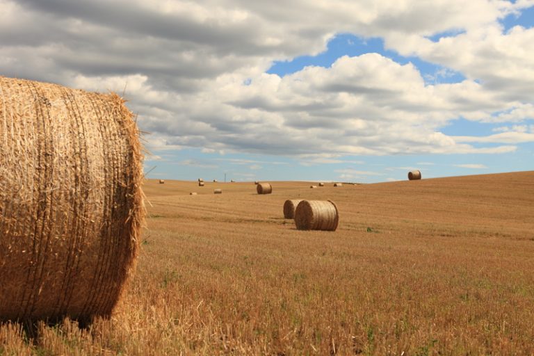 EC Commissioner Hogan provides clarity to UK farmers after Brexit