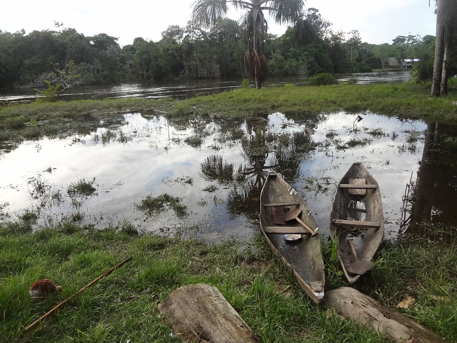 Fig. 3 Libertad, Napo River, Peru 2016