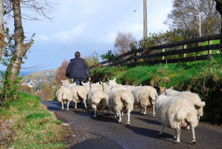 Environmental Protection Act post-Brexit farmers