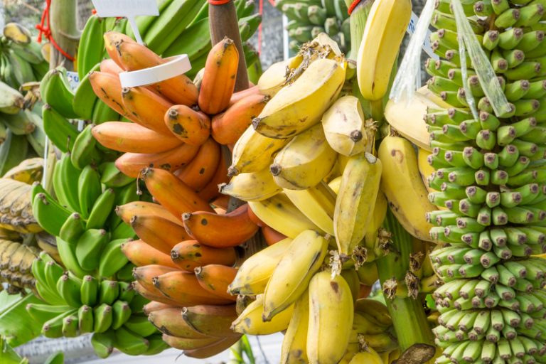 Banana shortage myth varieties at market