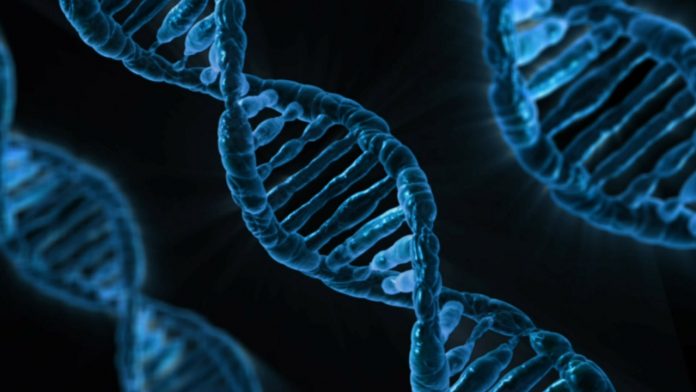 Ebenstein lab research on DNA