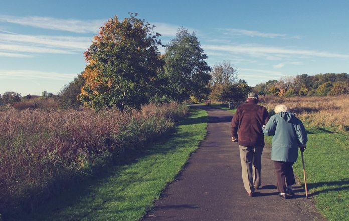 social care system brink of collapse older people