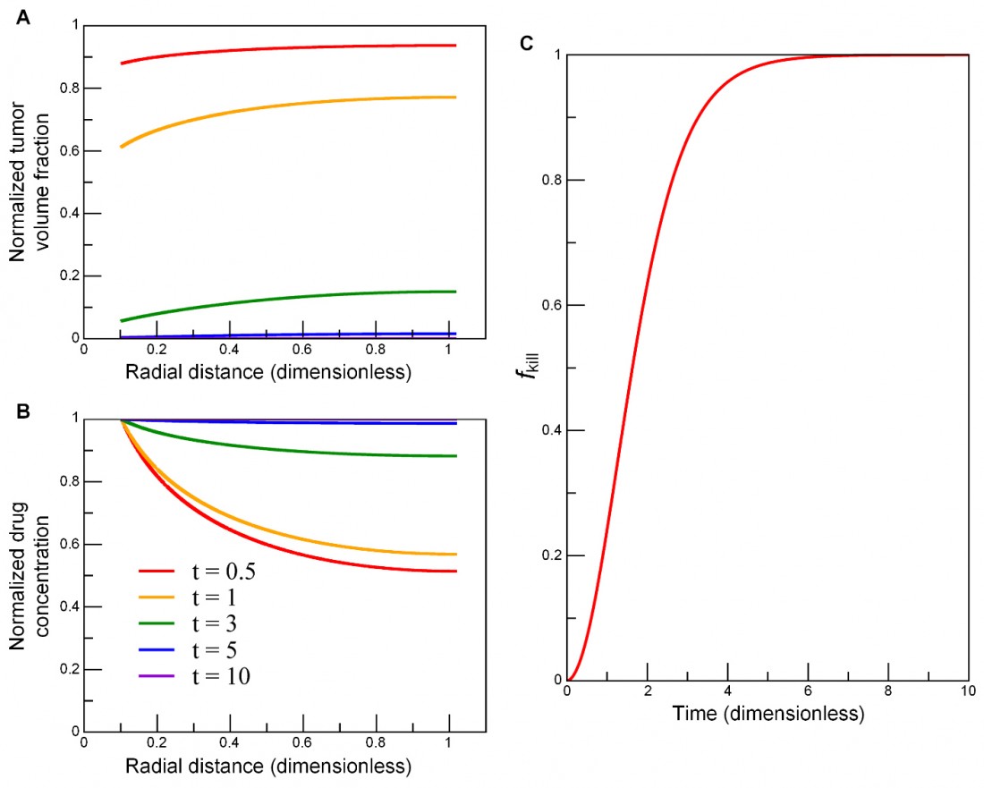 drug concentration tumour volume graphs