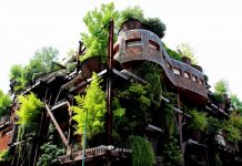 climate protection tree covered building Turin