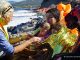 migrants mental health refugees beach