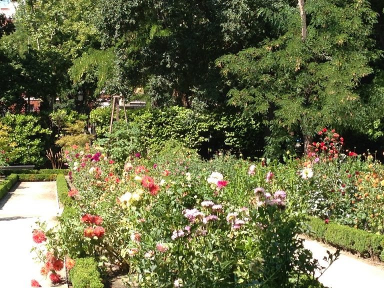 Madrid’s Royal Botanic Gardens: An institution for learning