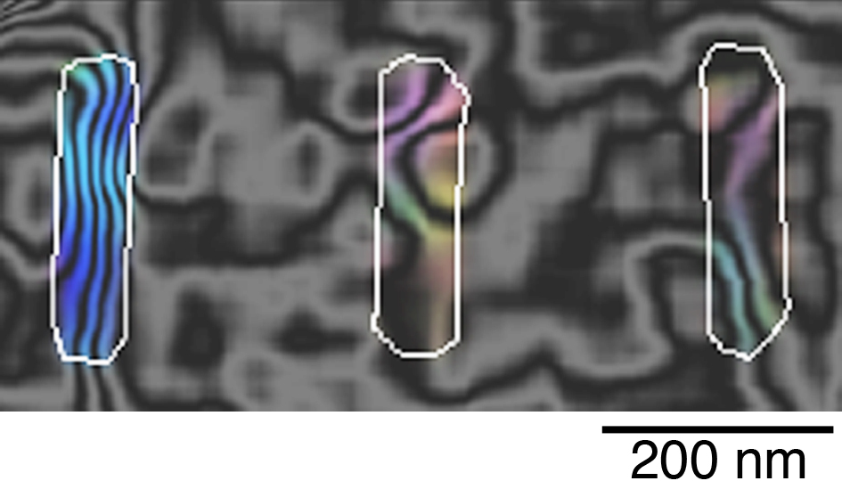 Figure 4: Magnetic induction map of three NiFe/Cu/Co thin-film PSV elements at remanence recorded using electron holography after the application of a 42.4-mT magnetic field. The left element has the parallel magnetic configuration between the two magnetic layers, while the remaining elements have the antiparallel configuration