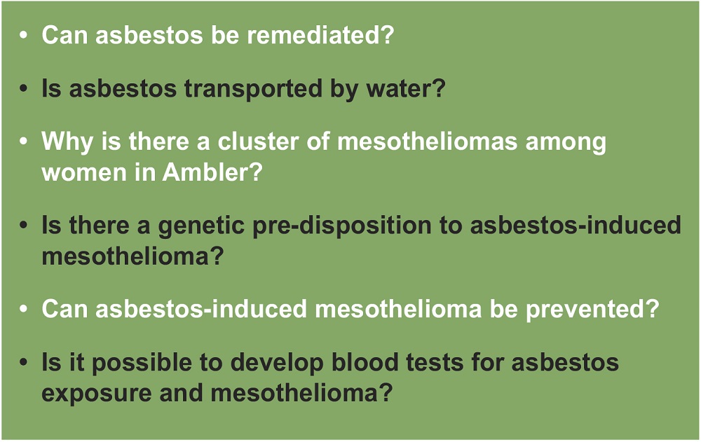 mesothelioma cdkn2a