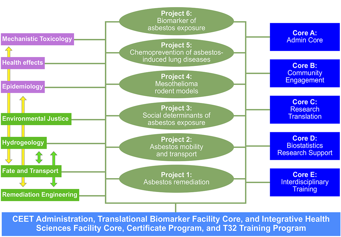 Figure 2: Organization of the Penn SRP Center