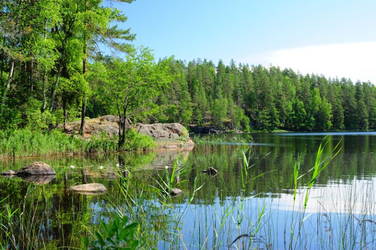 Ensuring the preservation of biodiversity in Finland