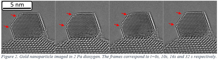 Electron Microscopy