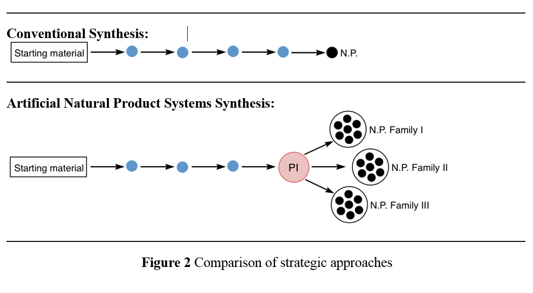 Figure 2: Comparison of strategic approaches 