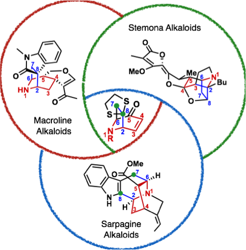 Figure 3: ANaPSyS for proof of concept 