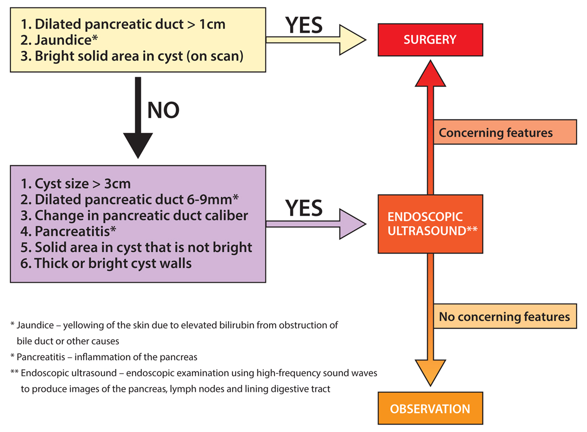 Figure 1: Algorithm for management of IPMNs (based on expert consensus guidelines)