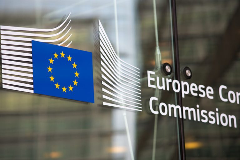 EU member states vote on hormone-disrupting chemicals criteria