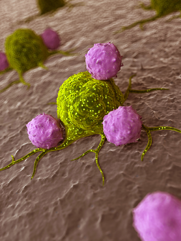 Cancer immunotherapy: Are we ready to take the next big step?