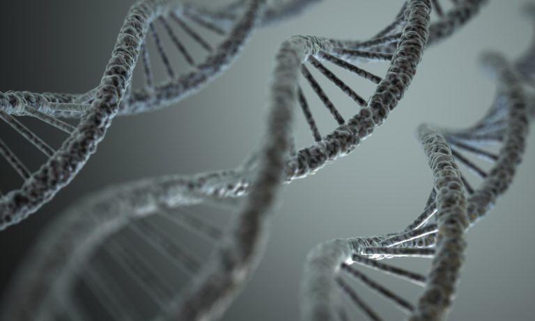 Scientists reveal first 3D images of DNA in living human cells