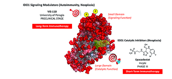 The DIDO Project: autoimmune disease therapies research