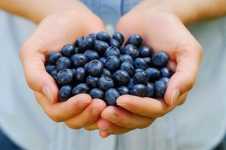 Can blueberries help to tackle many global health problems?