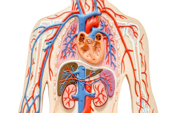 Membranous nephropathy