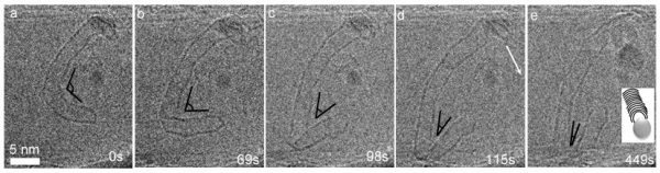 low-dimensional nanostructures