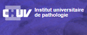 Experimental Pathology Service - Institute of Pathology