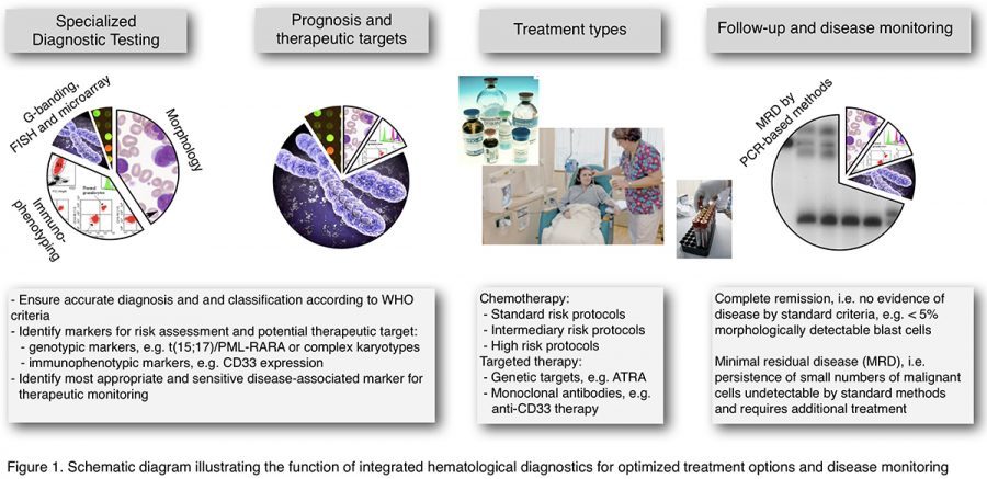 acute leukaemia