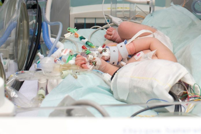 newborn brain injury