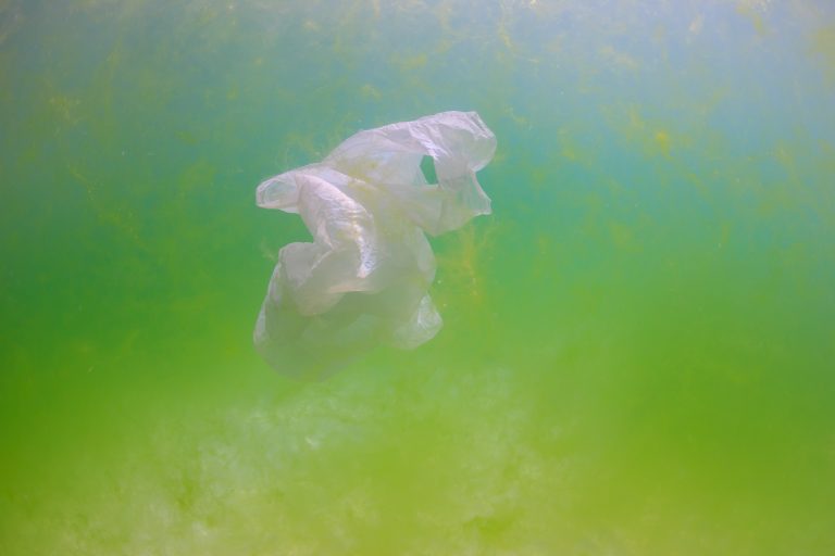 ocean litter