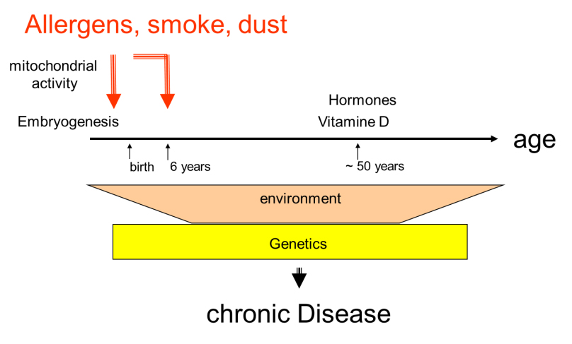 inflammatory lung disease