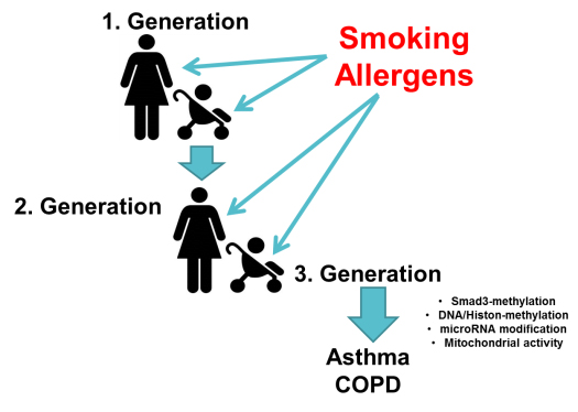 inflammatory lung disease