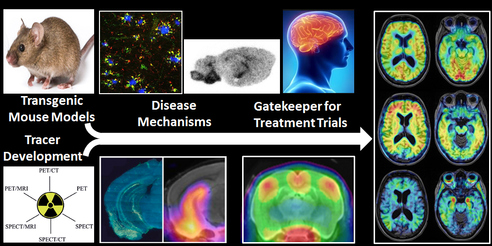 PET Imaging